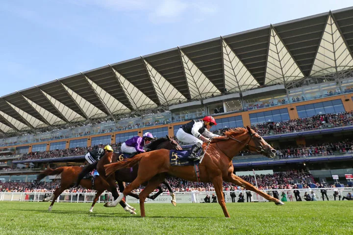 Royal Ascot Gold Cup