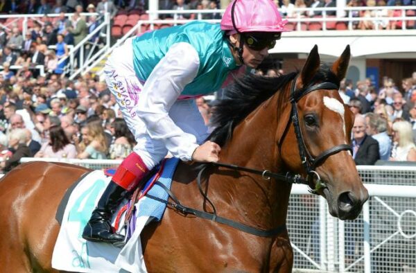 Chester-Racecourse-5