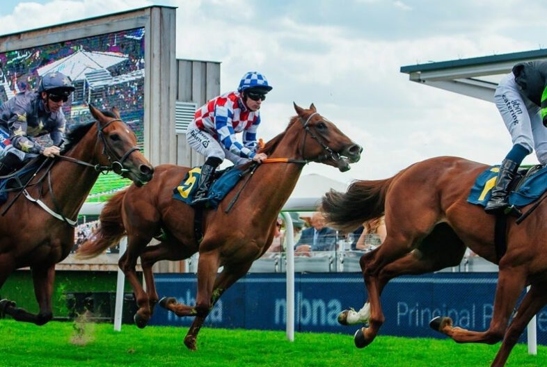 Chester-Races-Banner