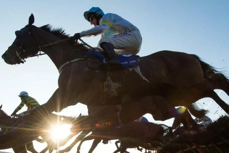 Ascot Chase Day