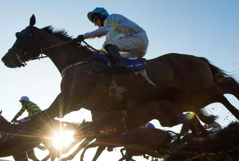 Ascot Chase Day