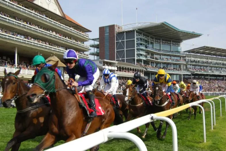 Ebor-Festival-Banner