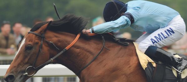 King-George-Meeting-Banner-1