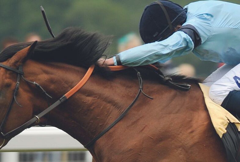 King-George-Meeting-Banner-1