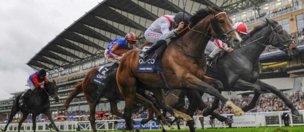QIPCO-British-Champions-Day-Banner-1