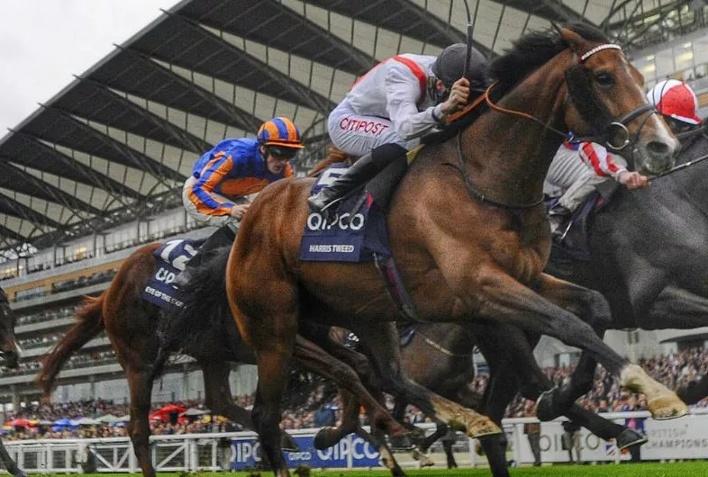 QIPCO-British-Champions-Day-Banner-1