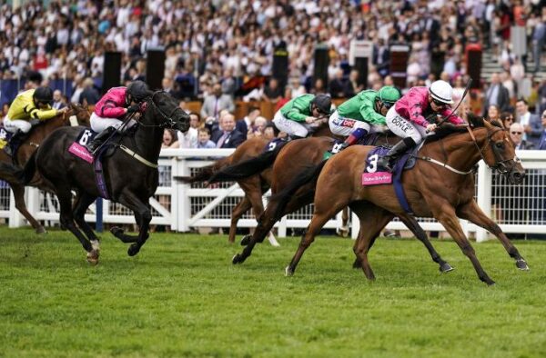 Shergar-Cup-1