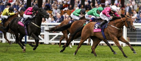 Shergar-Cup-Banner-1