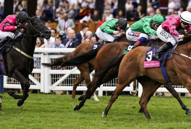 Shergar-Cup-Banner-1