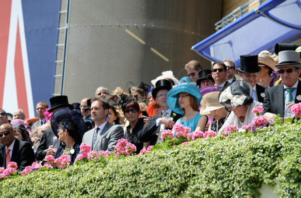ascot-1