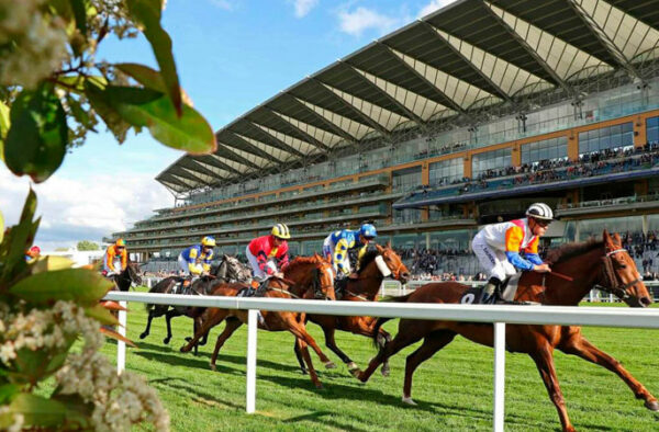 ascot-13