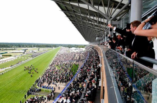 ascot-5