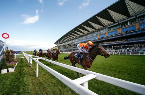 ascot-8