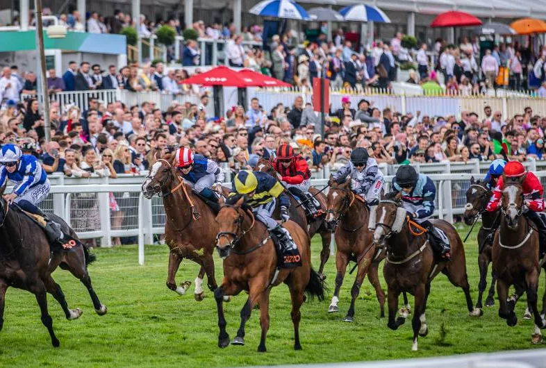 Epsom-Derby-Derby-Day-Banner-1
