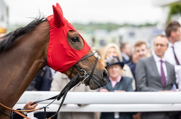 Epsom Derby Pen