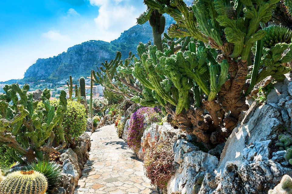 Jardin Exotique de Monaco - Escape away from the F1 action.