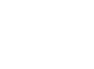 Silverstone Logo