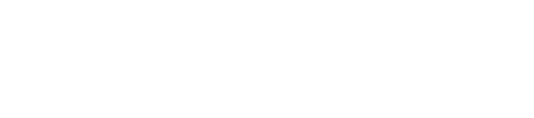 Our Partners