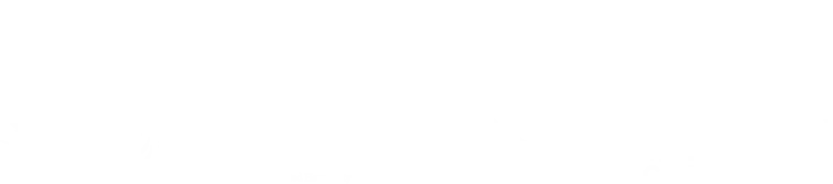 Our Partners
