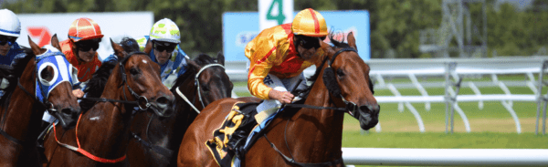 Grand National