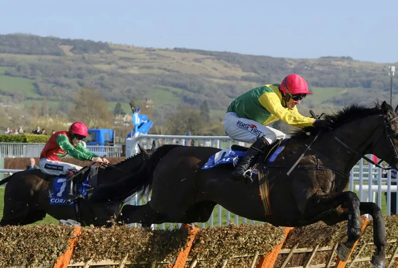 Cheltenham-Banner-3