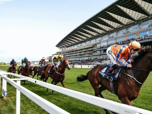 Ascot Racecourse Hospitality