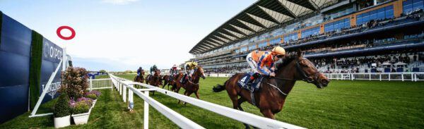 Ascot Racecourse Hospitality
