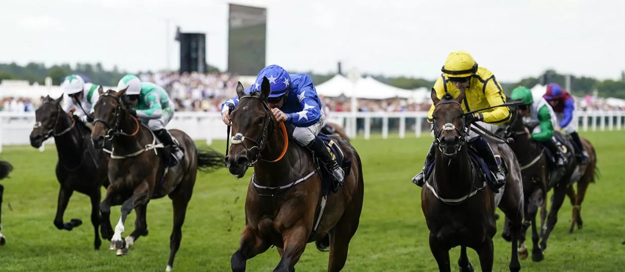 Royal Ascot 2024 Day 2 Prince of Wales's Stakes Hospitality & VIP