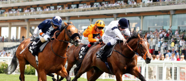 Royal-Ascot-Banner-5
