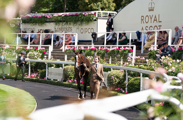 Royal Ascot Parade Ring