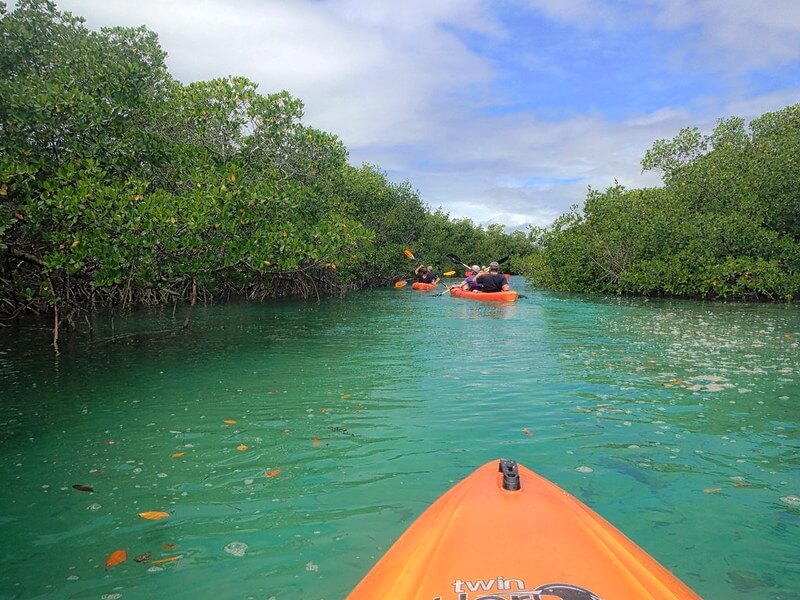 Mangrove National Park - Abu Dhabi