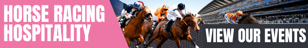 Horse Raceing Blog Banner