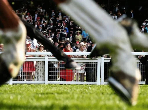 Ascot Chase Raceday