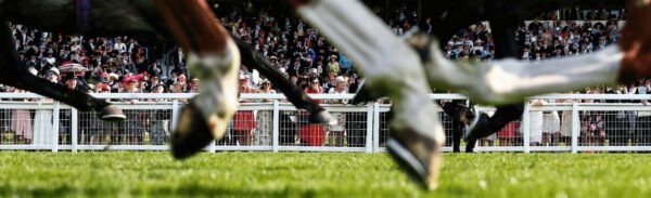 Ascot Chase Raceday