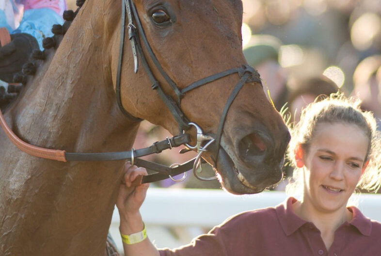 Ascot King George Banner