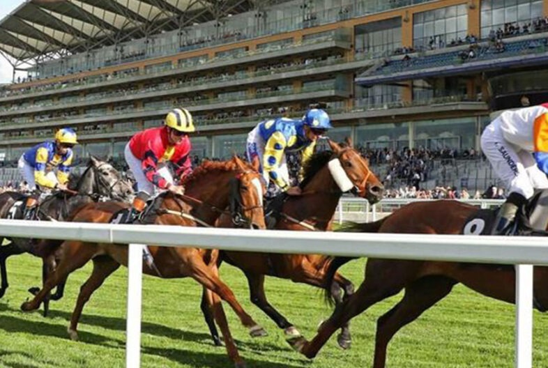 Ascot May Racing Banner