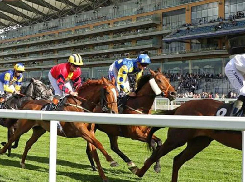 Ascot May Racing Banner