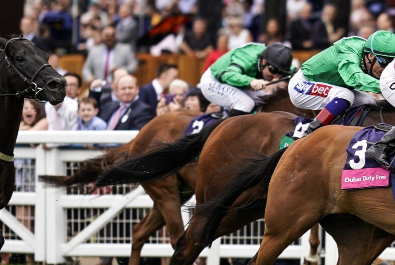 Ascot Shergar Cup Banner
