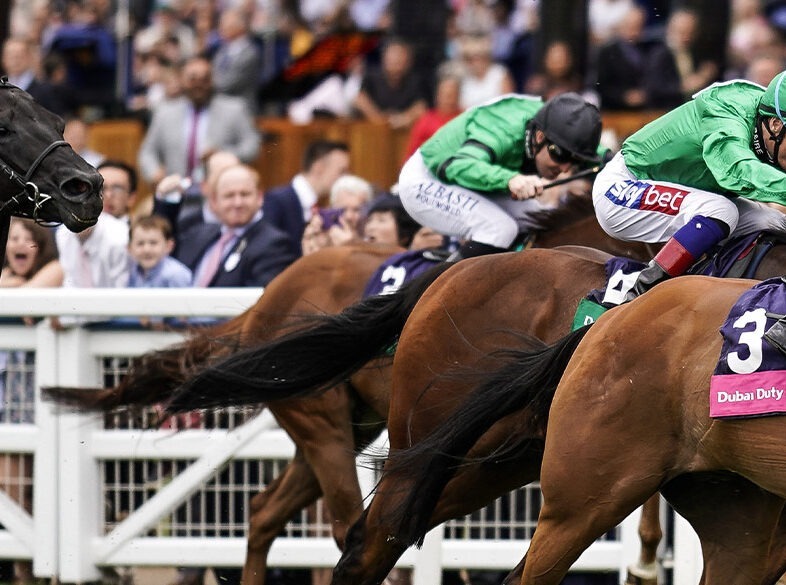 Ascot Shergar Cup Banner