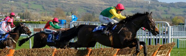 Cheltenham Xmas