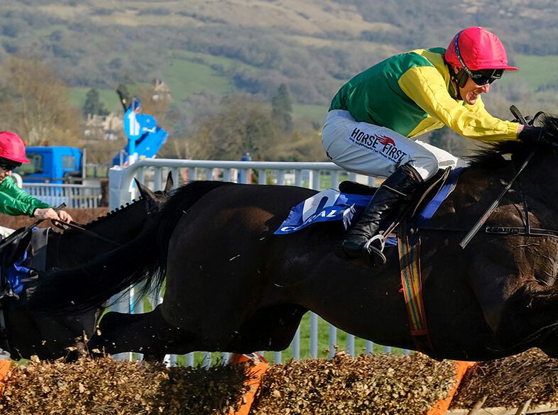 Cheltenham Xmas