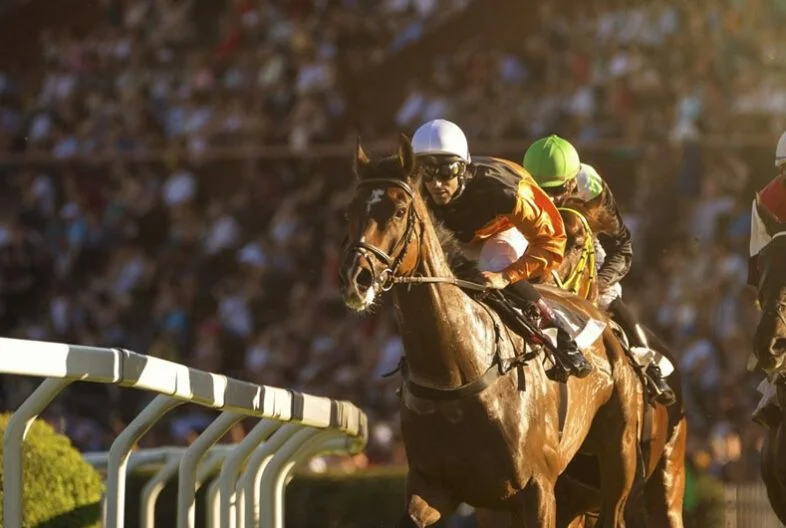 dubai-world-cup-banner