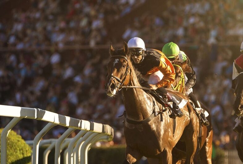 dubai-world-cup-banner