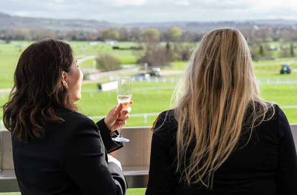 cheltenham 29
