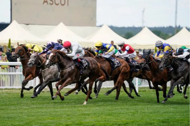ascot horse racing - start of race