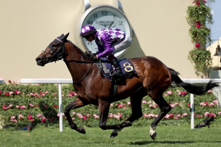 number 8 at ascot running down the course 