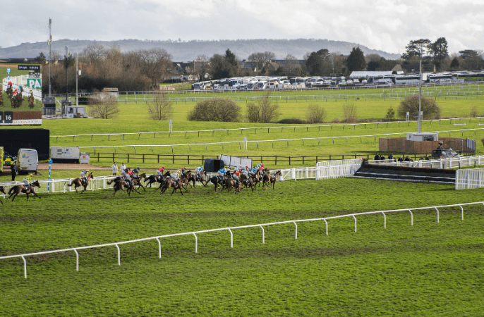 Cheltenham 4 