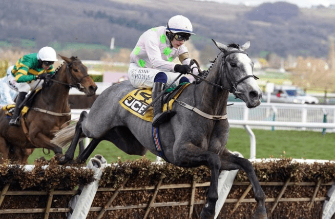Lossiemouth at Cheltenham Festival 2026 