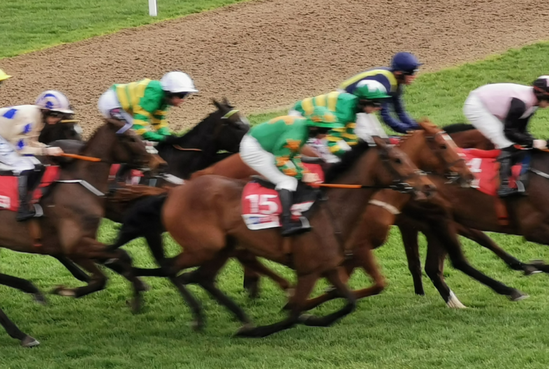 Cheltenham Festival Banner