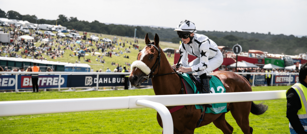 The Grand National I Am Maximus Aintree